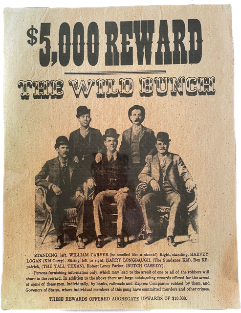 Poster Reward The Wild Bunch