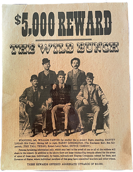 Poster Reward The Wild Bunch