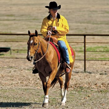 Saddle Slicker