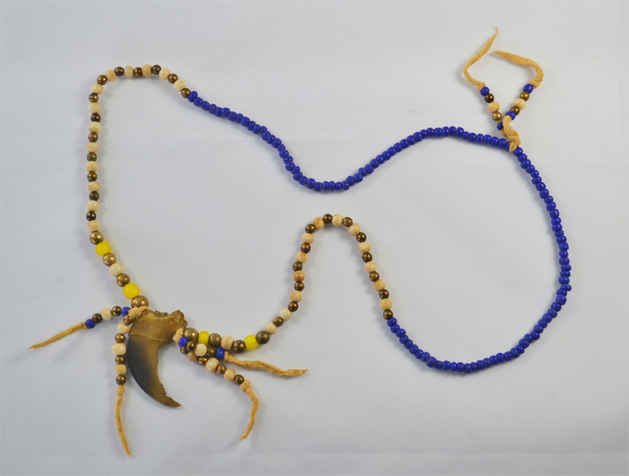 Halsband Svartbjörnsklo