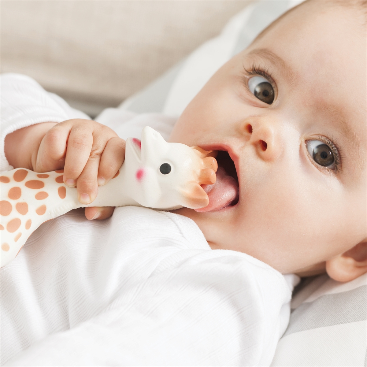 Sophie the giraffe - 5