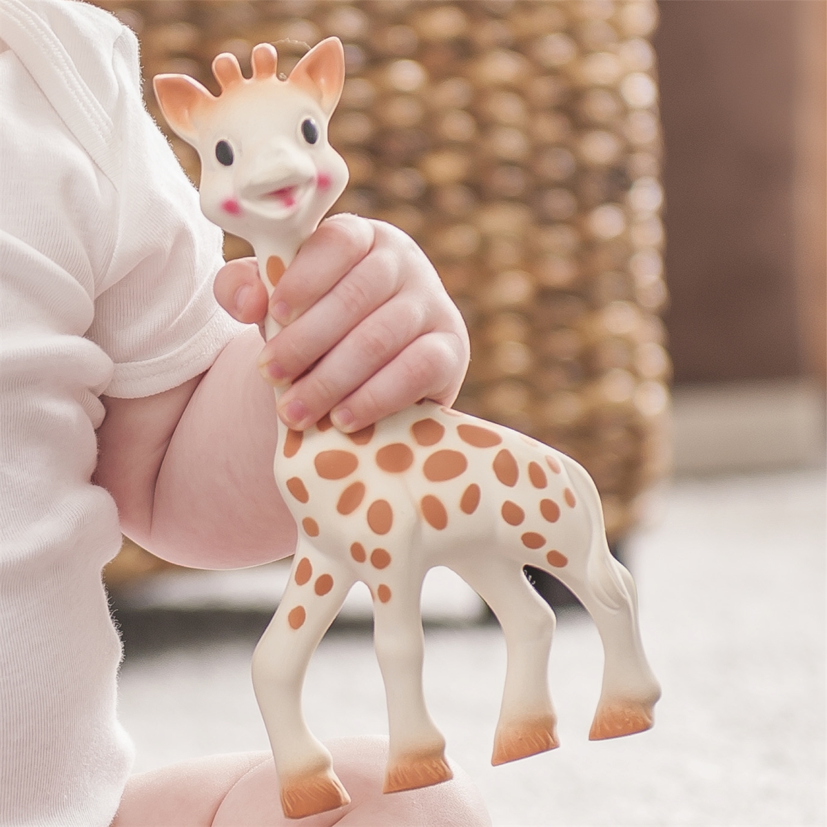 Sophie the giraffe - 6