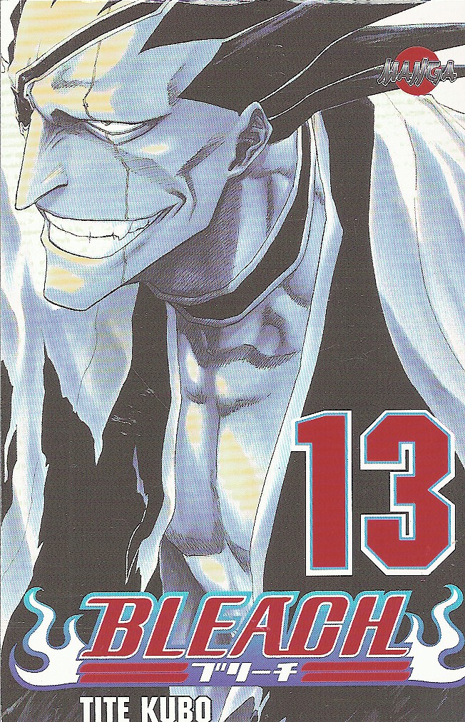 Bleach 13