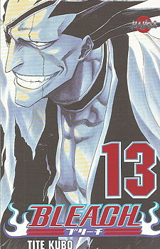 Bleach 13