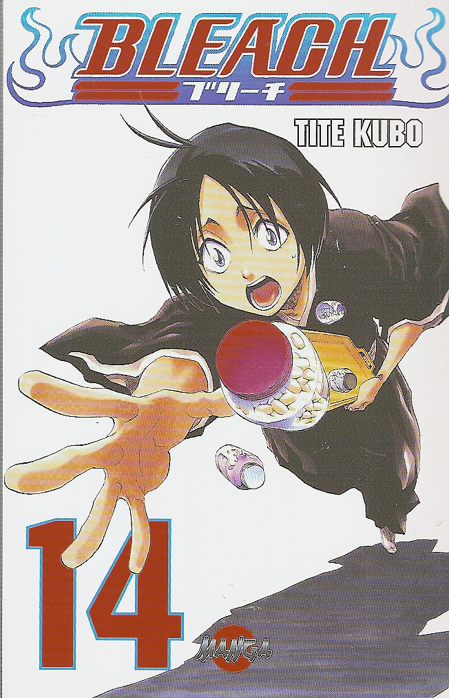 Bleach 14