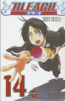 Bleach 14