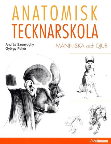 Anatomisk tecknarskola - Människa och Djur