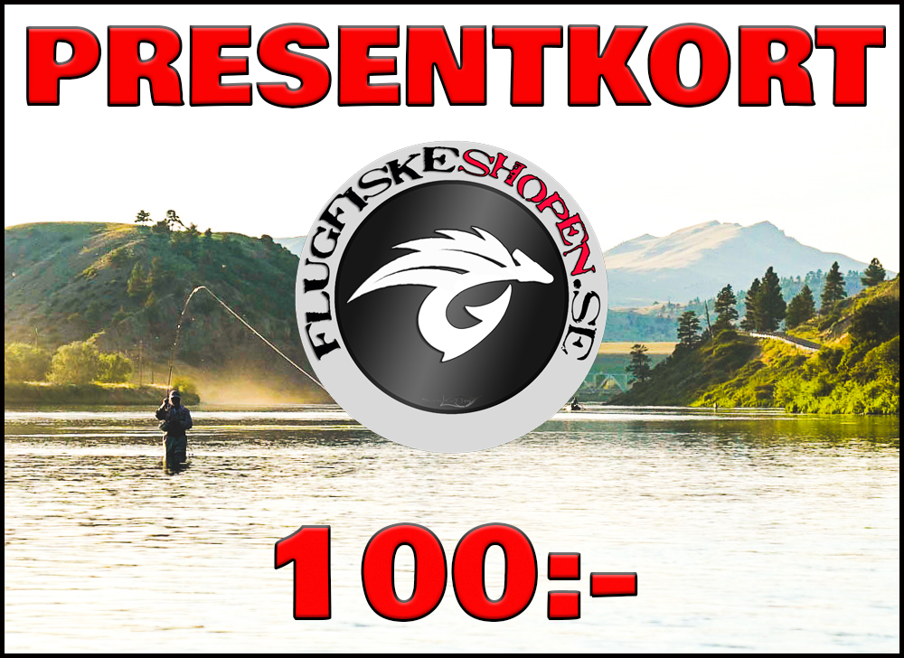 Presentkort 100:-