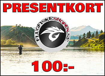 Presentkort 100:-