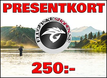 Presentkort 250:-