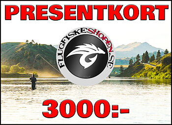 Presentkort 3000:-