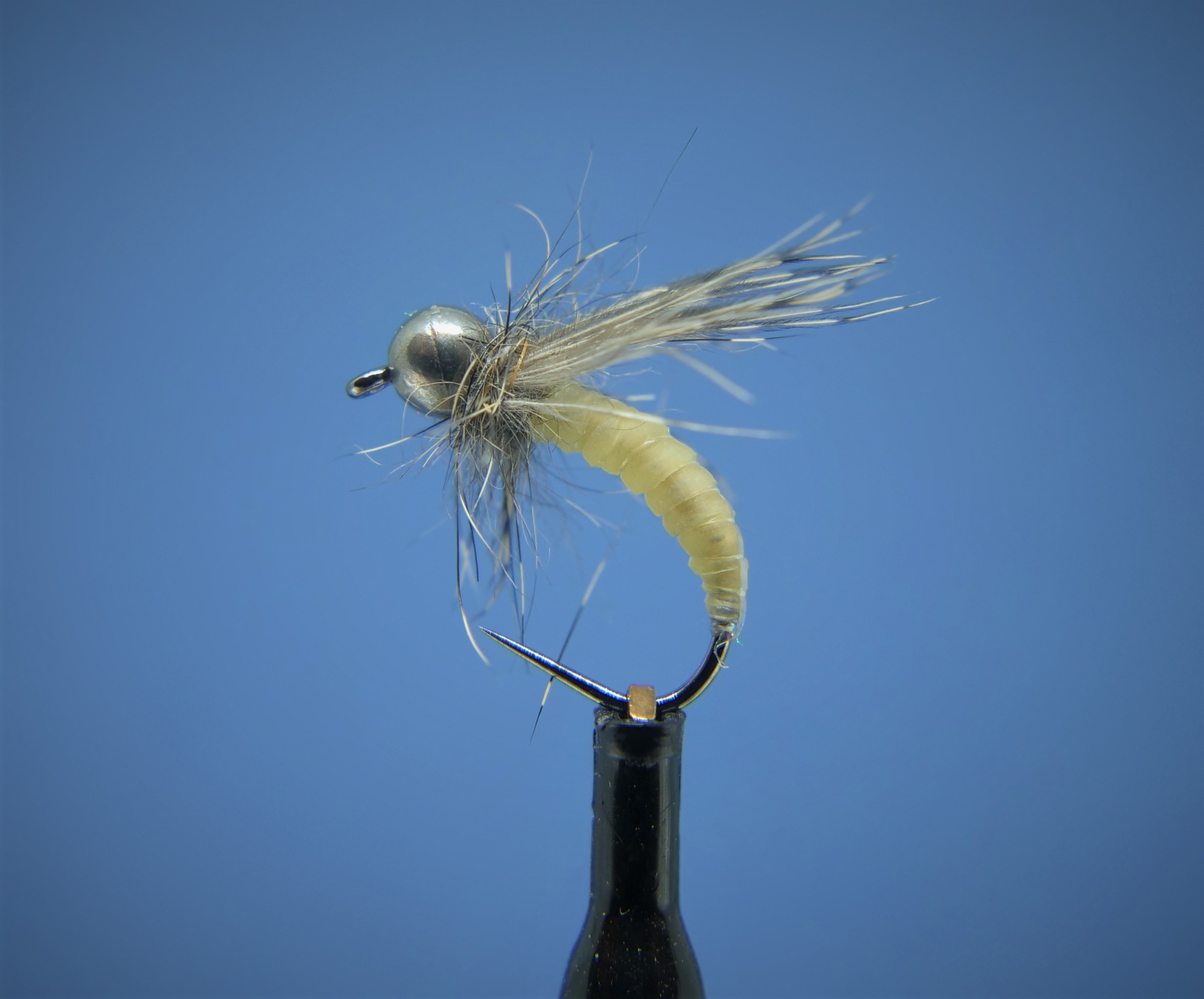 Paulo Caddis Larva Tungsten
