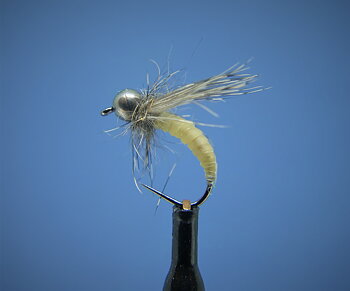 Paulo Caddis Larva Tungsten