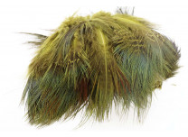 Ringneck Rump Hackle - Wapsi - 6