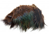 Ringneck Rump Hackle - Wapsi - 8