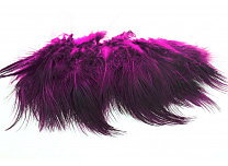 Ringneck Rump Hackle - Wapsi
