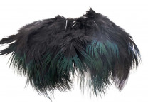Ringneck Rump Hackle - Wapsi - 9