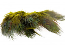 Ringneck Rump Hackle - Wapsi - 4