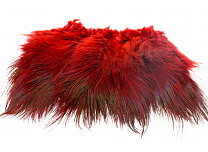Ringneck Rump Hackle - Wapsi