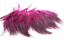 Ringneck Rump Hackle - Wapsi - 7