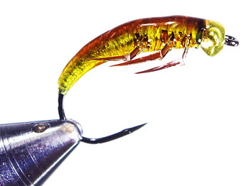 GULFF UV LIM 15ml 