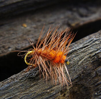 Torrfluga - Super Puppan Brun Orange #12