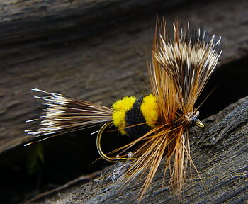 Torrfluga Bee Wulff #10  