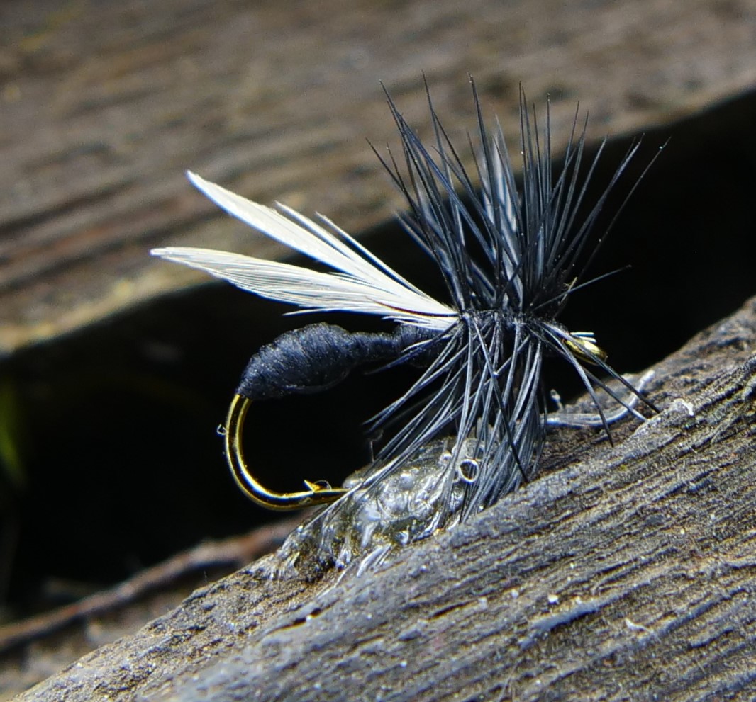 Torrfluga Black Ant #14  