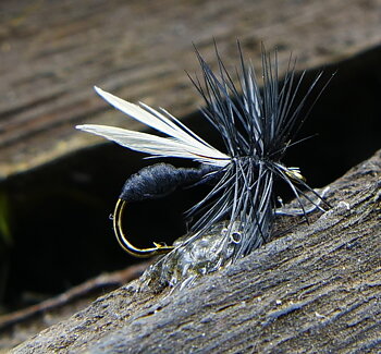 Torrfluga Black Ant #14  