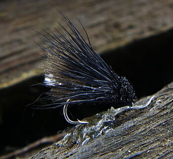  Torrfluga Jan Caddis Black #16