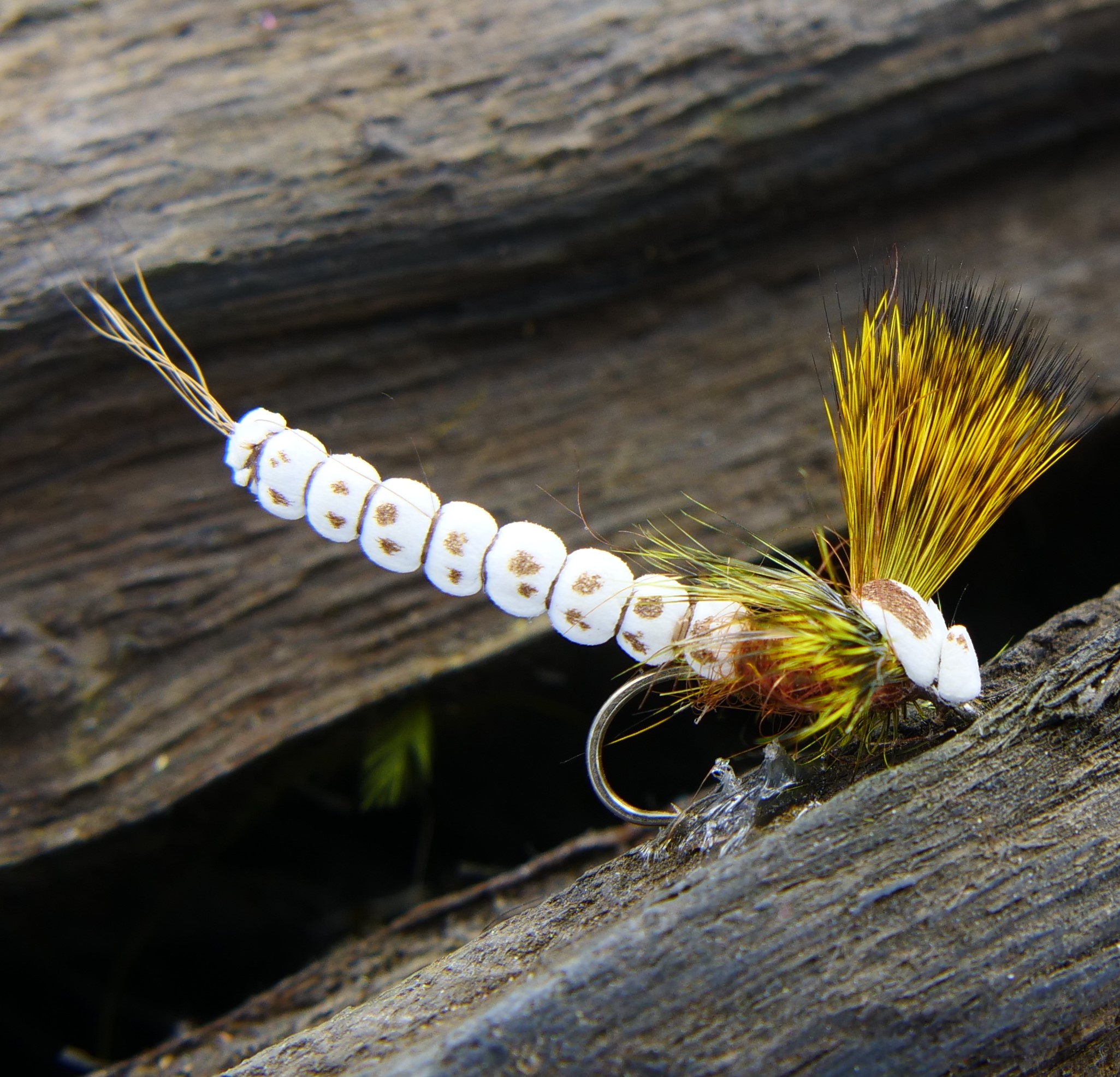 Mohican Mayfly White  #10