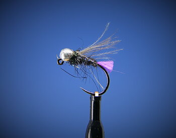 Roman Purple Fluo Tag Nymph (Jigkrok) Tungsten