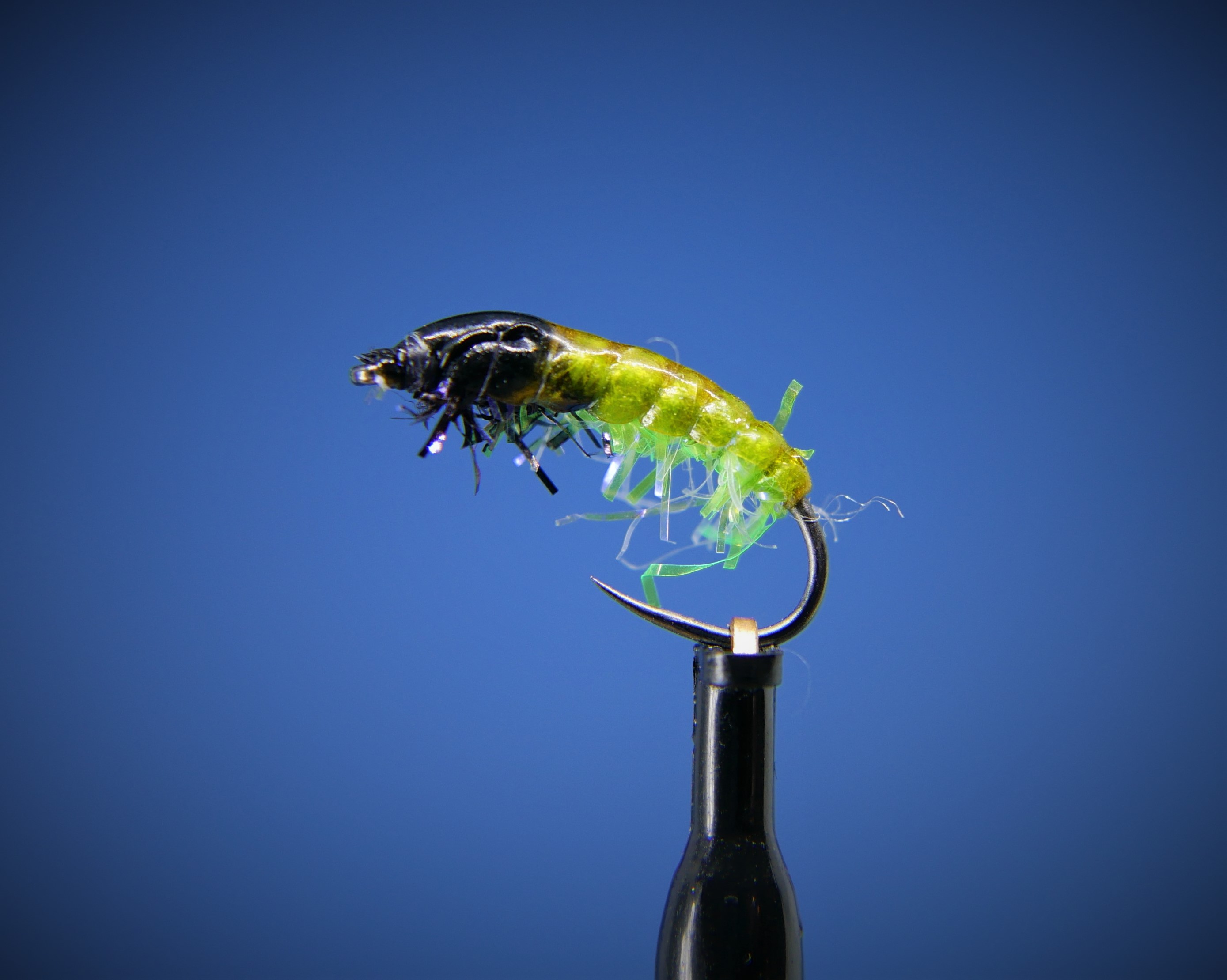 Czech Green Black Nymph 