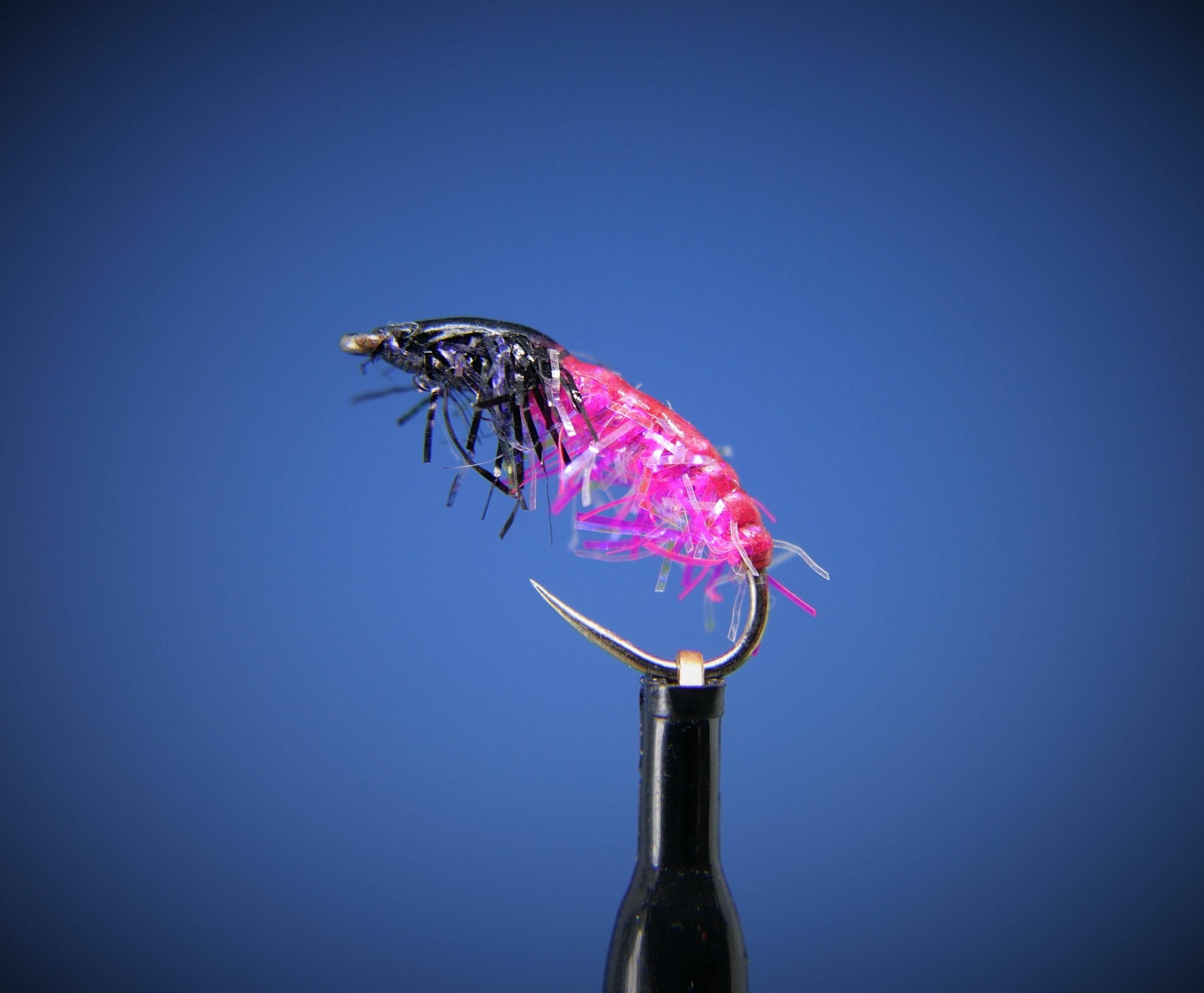 Czech Pink Black Nymph 