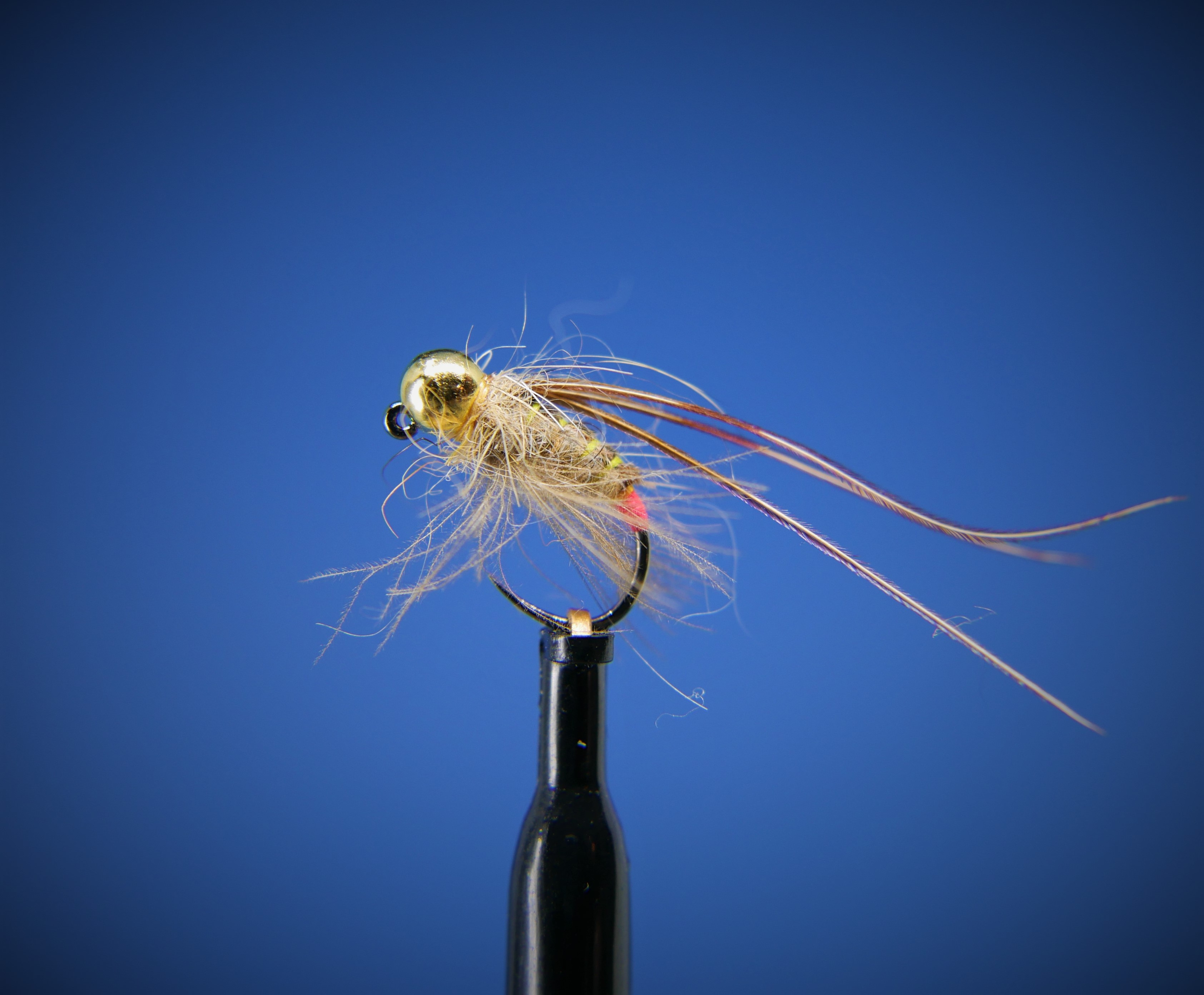 Hot Spot Caddis Nymph (Jigkrok) Tungsten