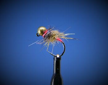 Paolina Black/Brown Nymph (Jigkrok) Tungsten