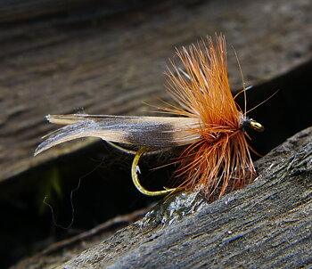 Torrfluga - E12 Swedish Modell #12