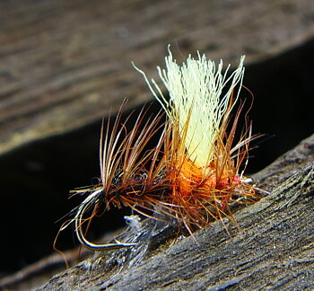  Torrfluga - De Super Sight Pupa Yellow  #14