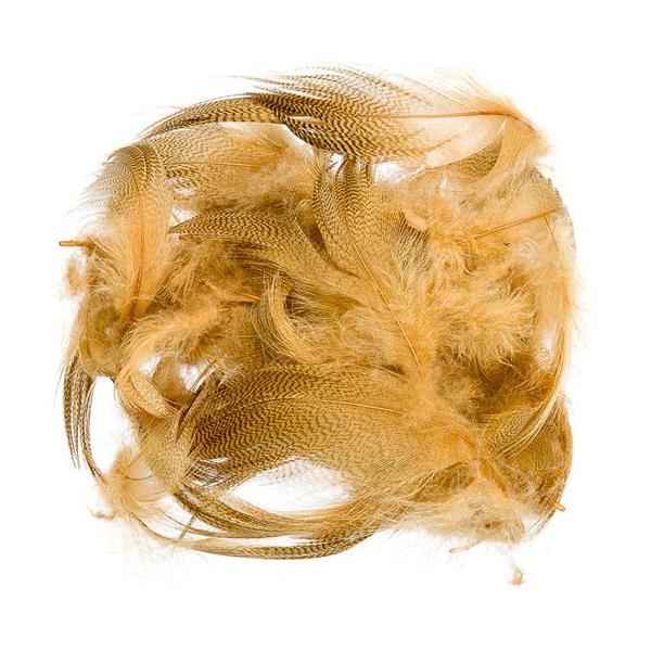 Mallard Barred Flank Fjädrar- Wapsi - 8