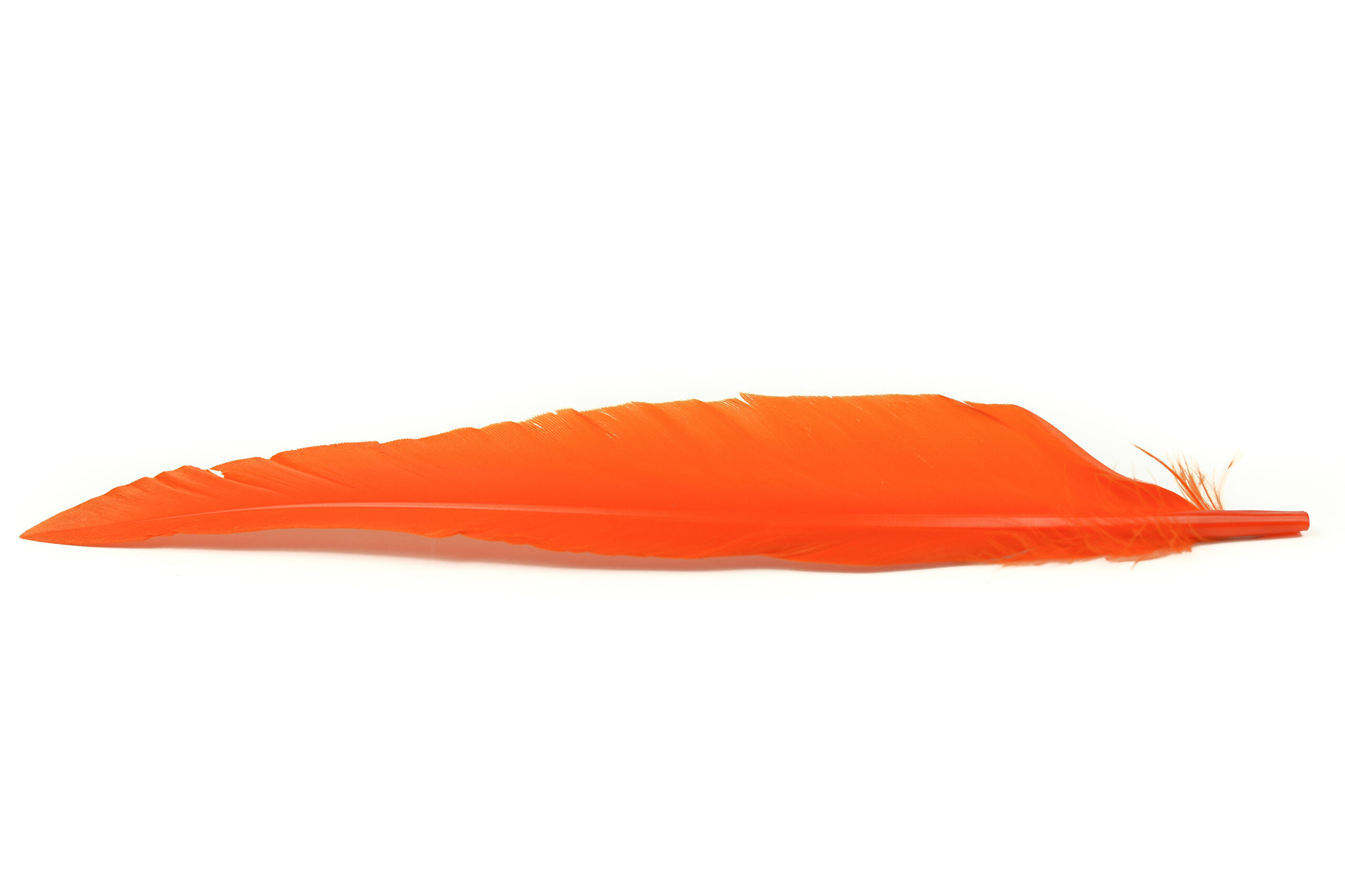 Duck Quills - Vingpenna - 6