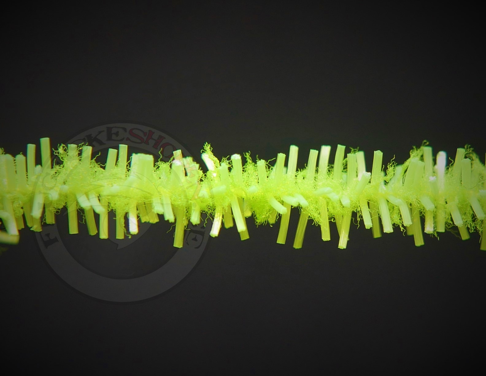  FNF Jumbo ChewingGum (worm) - 5