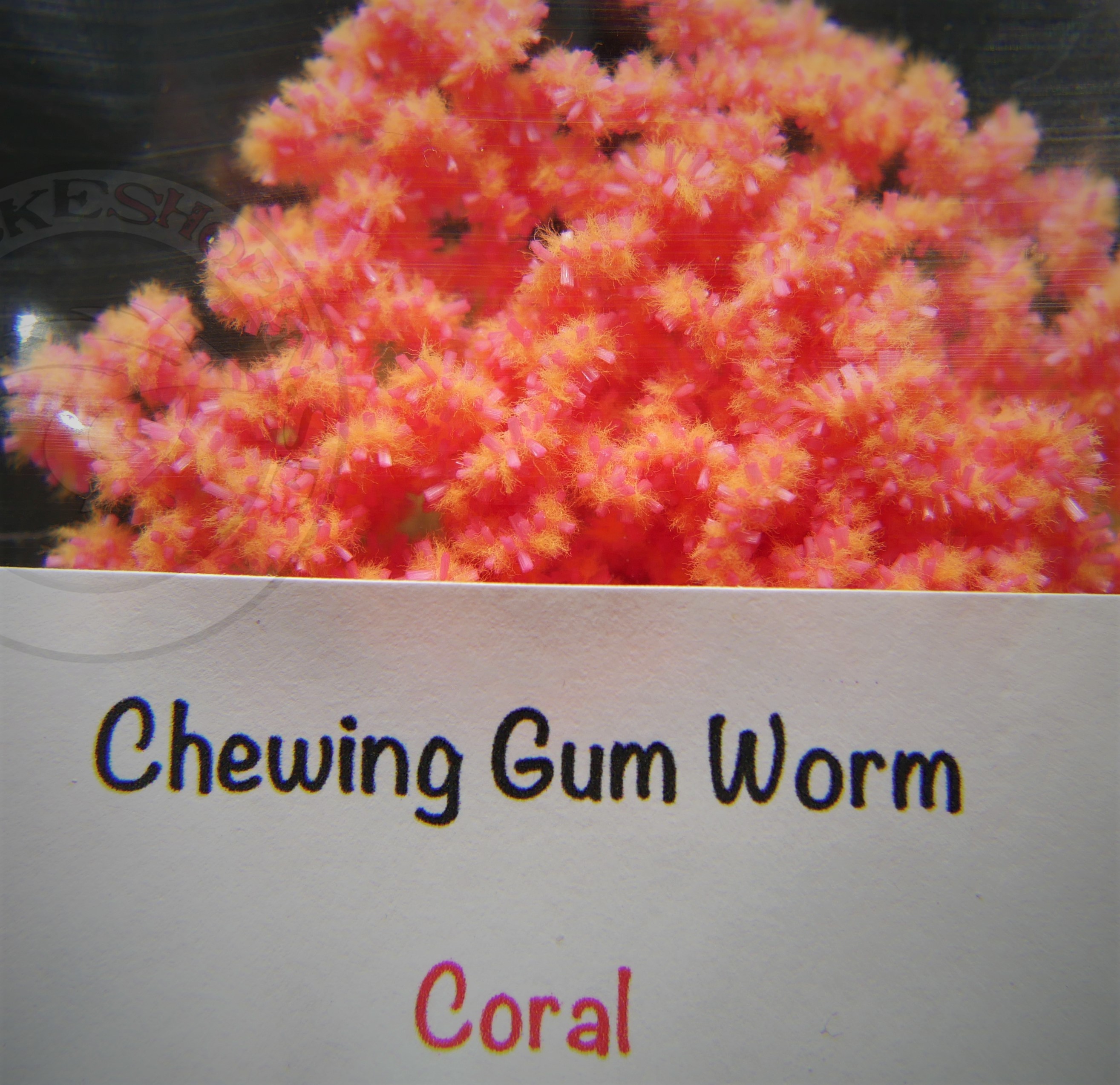 FNF ChewingGum (worm) - 14 färger  - 5