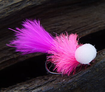 Booby Pink Blob  - Paolo Ceccon Custom