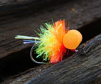 Booby Tequila Blob  - Paolo Ceccon Custom