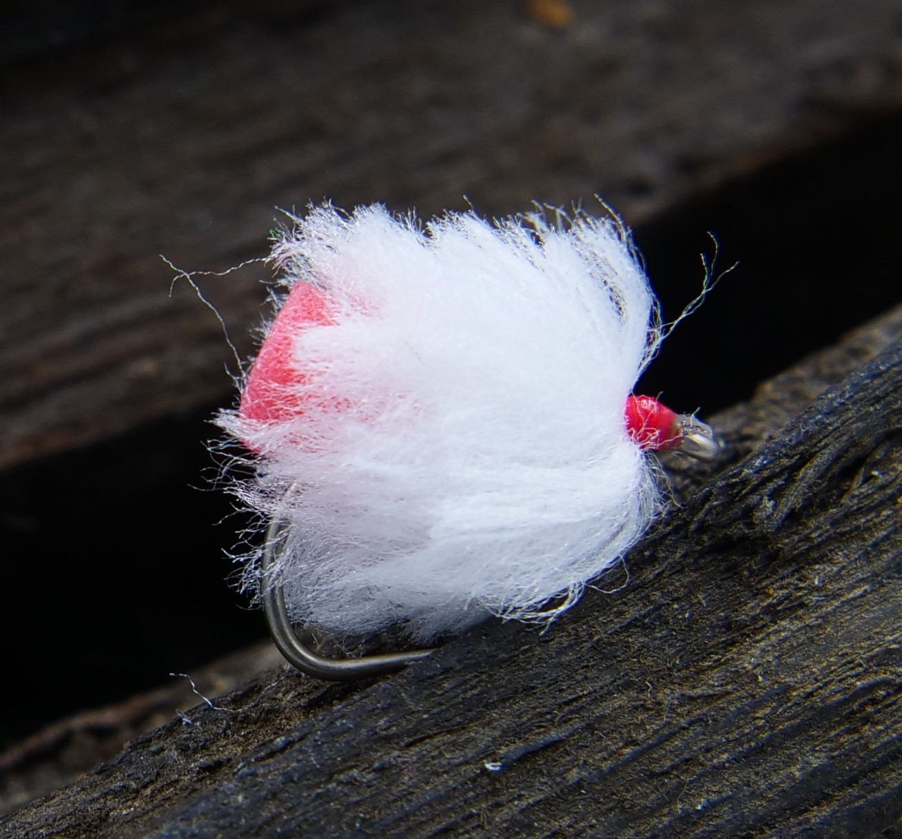 Booby White Fab  - Paolo Ceccon Custom