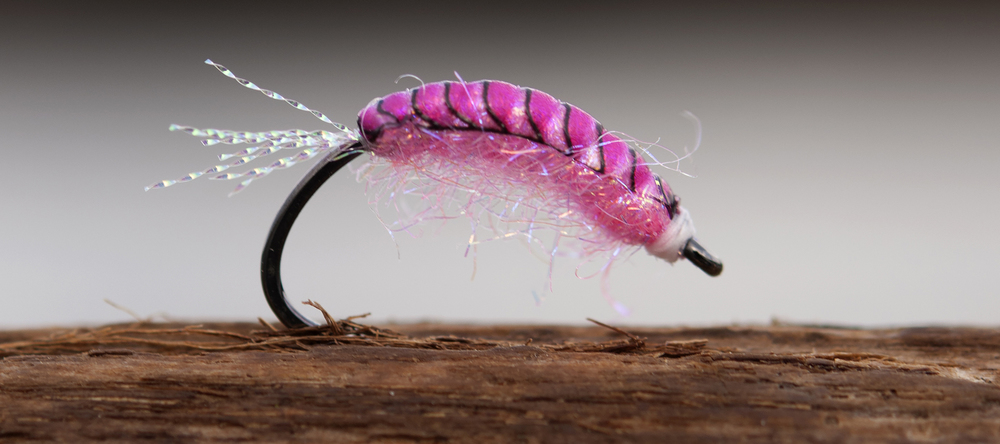 AHREX NS172 – CURVED GAMMARUS - 3