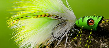 AHREX PR350 – LIGHT PREDATOR, BARBED