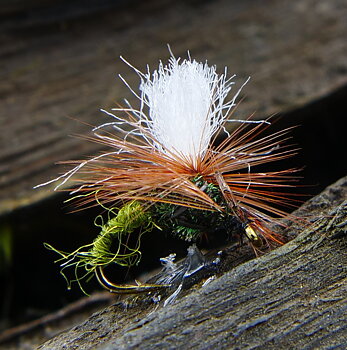 Torrfluga - Klinkhamer Olive #12