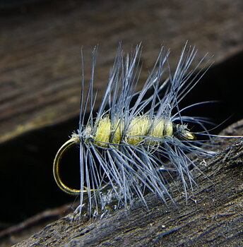 Torrfluga - Super Puppan Gul #12