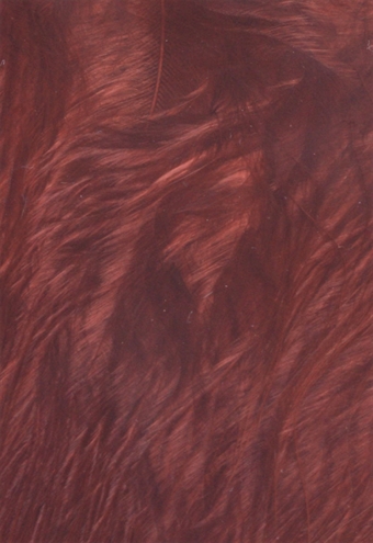 Marabou Plumes - Wapsi  - 16